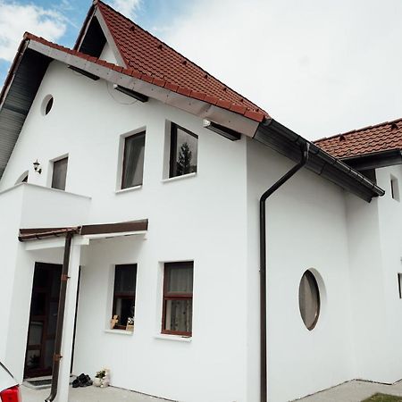Autentic Adorabil Apartment Albestii Paminteni Exteriör bild