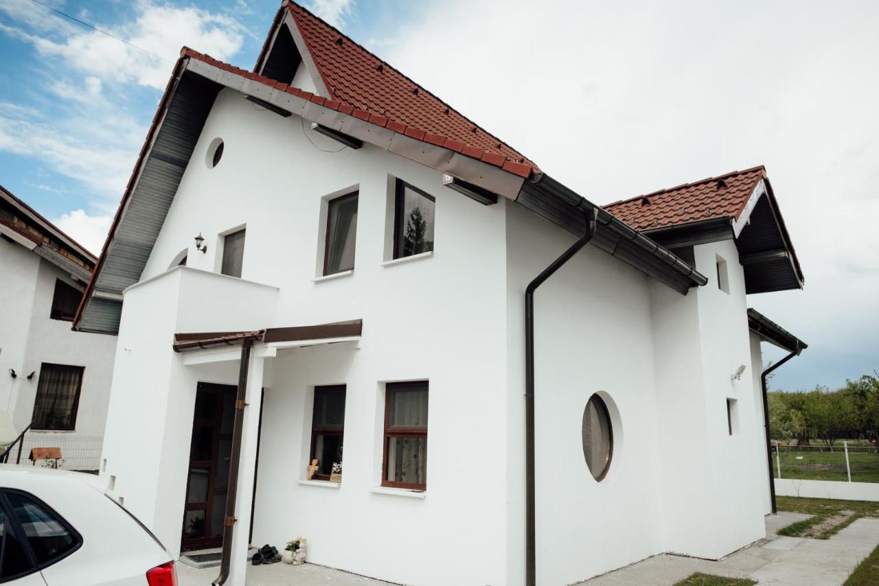Autentic Adorabil Apartment Albestii Paminteni Exteriör bild