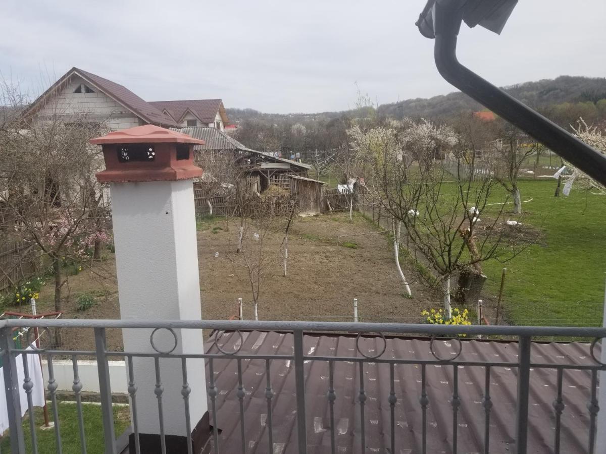 Autentic Adorabil Apartment Albestii Paminteni Exteriör bild