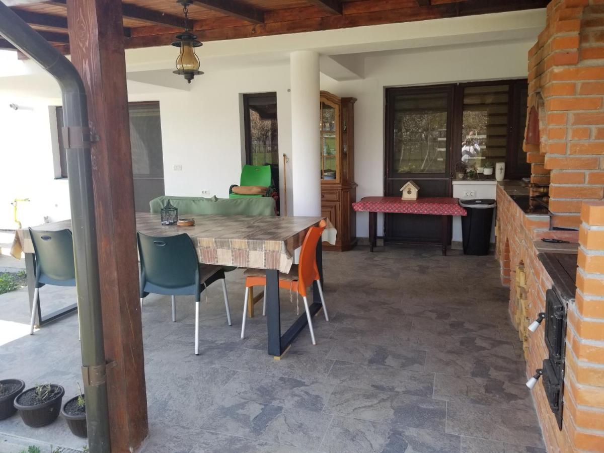Autentic Adorabil Apartment Albestii Paminteni Exteriör bild