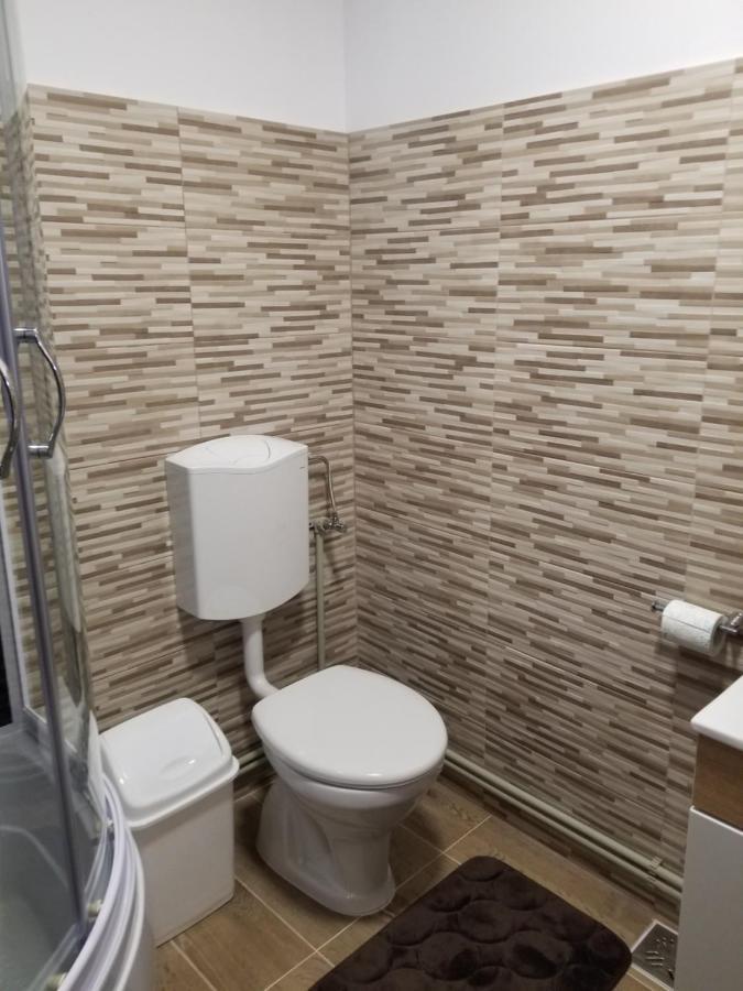 Autentic Adorabil Apartment Albestii Paminteni Exteriör bild