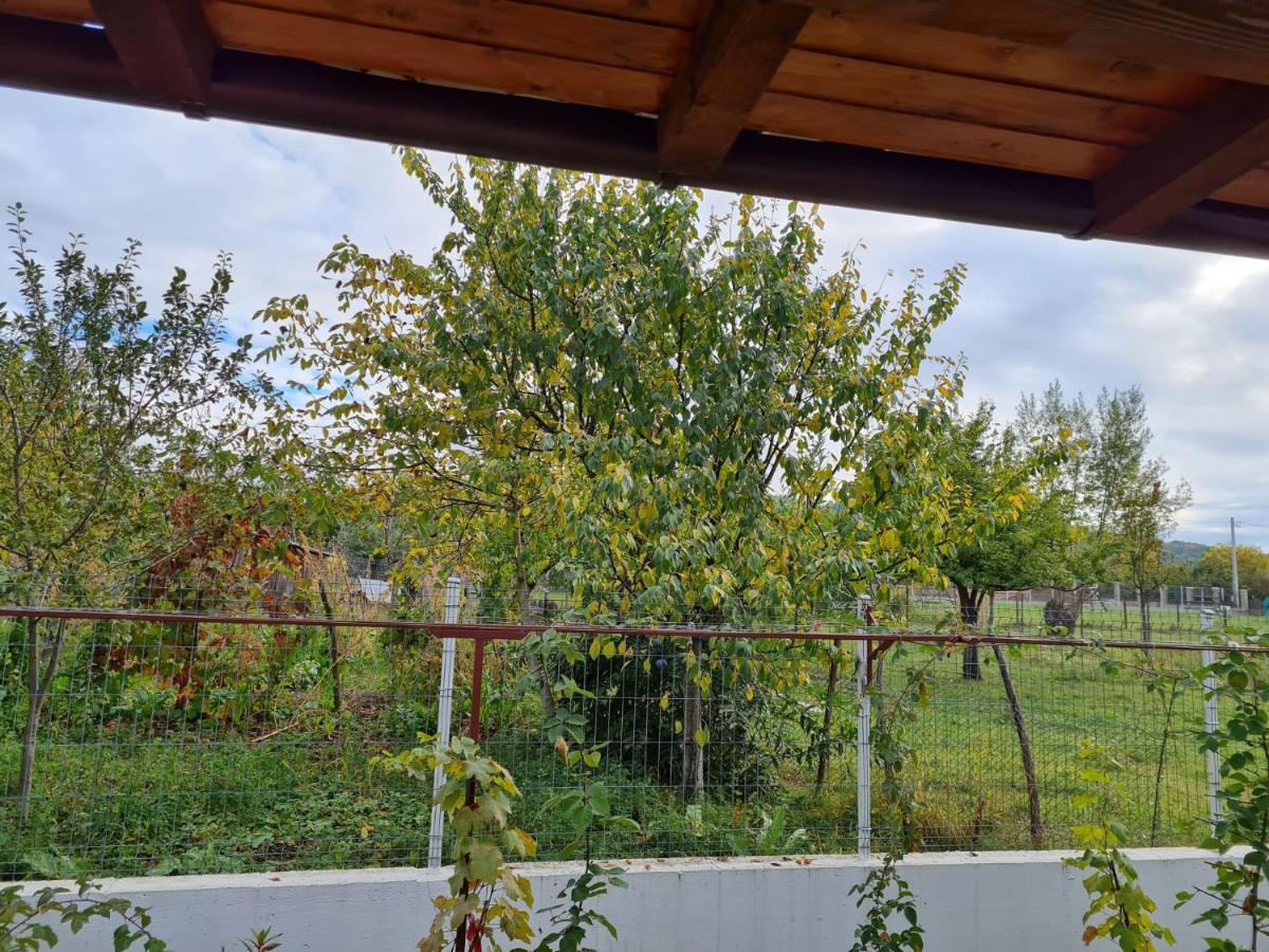 Autentic Adorabil Apartment Albestii Paminteni Exteriör bild